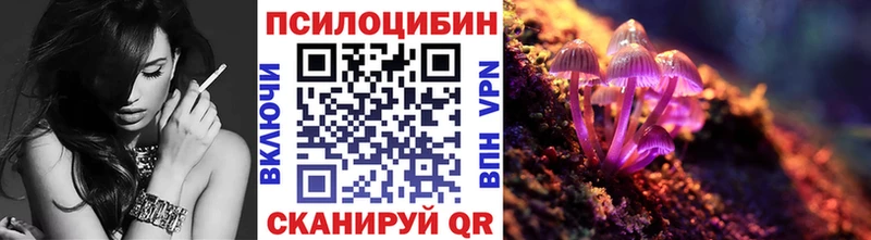Псилоцибиновые грибы GOLDEN TEACHER  площадка телеграм  Белая Холуница  купить наркоту 